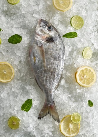 Sea Bream